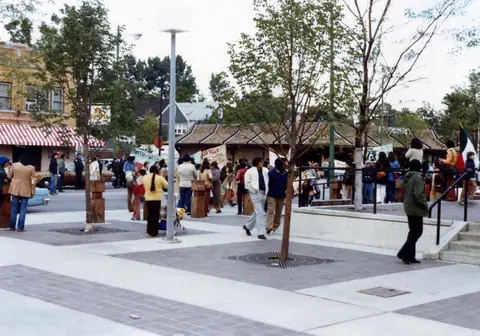 Rally at 26th Street and Kostner, Little Village